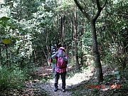 Thumbnail of pic_FC_Chan_040.JPG