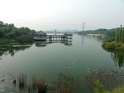 Thumbnail of PA130116.JPG