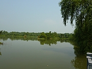 Thumbnail of pic_Victor_036.JPG