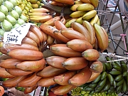 Thumbnail of pic_Victor_059.JPG