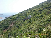 Thumbnail of pic_CC_Li_071.JPG