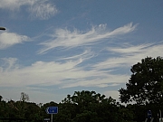 Thumbnail of pic_Eddie_006.JPG
