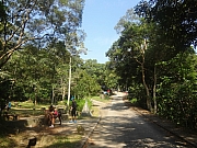 Thumbnail of pic_Eddie_098.JPG