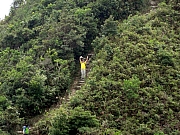 Thumbnail of PB110047.JPG