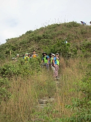 Thumbnail of pic_YL_Wong_44.JPG