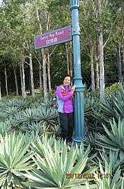 Thumbnail of pic_CC_Li_163.JPG