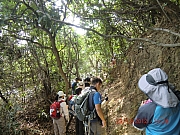 Thumbnail of pic_Wai_045.JPG