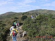 Thumbnail of pic_Wai_074.JPG