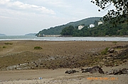 Thumbnail of pic_CC_Li_010.JPG