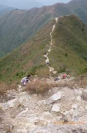 Thumbnail of pic_CC_Li_187.JPG
