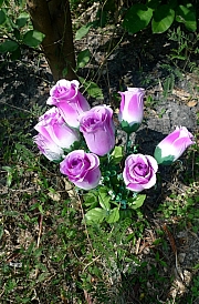 Thumbnail of pic_Billy_088.JPG