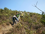 Thumbnail of pic_YL_Wong_59.JPG