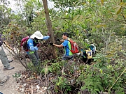 Thumbnail of P1200037.JPG