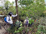 Thumbnail of P1200038.JPG