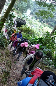 Thumbnail of pic_Billy_05.JPG