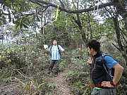 Thumbnail of pic_Wai_19.JPG