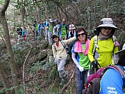 Thumbnail of pic_YL_Wong_15.JPG