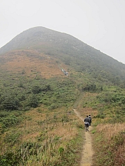 Thumbnail of pic_YL_Wong_13.JPG