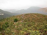Thumbnail of pic_CC_Li_43.JPG