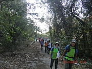 pic_Wai_023.JPG (686380 bytes)