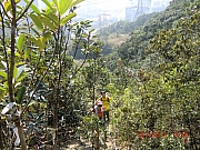 pic_Wai_030.JPG (817715 bytes)