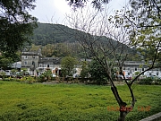 pic_Wai_122.JPG (689941 bytes)
