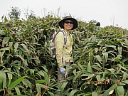 Thumbnail of pic_CC_Li_048.JPG