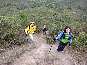Thumbnail of pic_YL_Wong_0010.JPG