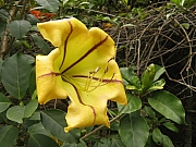 Thumbnail of pic_Ah_Min_22.jpg