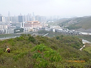 Thumbnail of pic_Wai_078.JPG