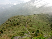 Thumbnail of P3240107.JPG