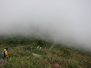 Thumbnail of pic_YL_Wong_077.JPG