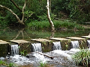 Thumbnail of pic_CW_Leung_025.JPG