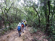 Thumbnail of pic_KC_Au_063.jpg