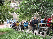 Thumbnail of pic_YL_Wong_008.JPG
