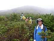 Thumbnail of pic_Wai_092.JPG