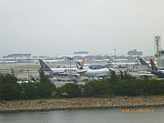 Thumbnail of pic_Wai_109.JPG