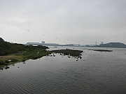 Thumbnail of pic_YL_Wong_008.JPG