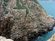 Thumbnail of P4280258.JPG