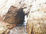 Thumbnail of pic_Amy_Fong_158.JPG