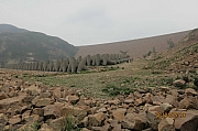 Thumbnail of pic_CC_Li_074.JPG