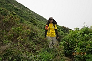 Thumbnail of pic_CC_Li_139.JPG