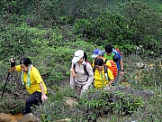 Thumbnail of P5050039.JPG