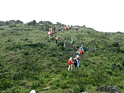 Thumbnail of P5050081.JPG