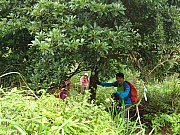 Thumbnail of pic_Wai_124.jpg