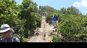 Thumbnail of 20130602_003.JPG