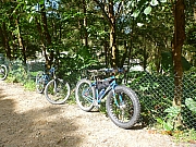 Thumbnail of pic_Wai_004.JPG