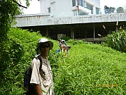 Thumbnail of pic_Wai_042.JPG