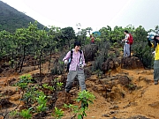 Thumbnail of P6160061.JPG