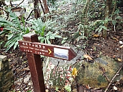 Thumbnail of pic_Joanna_Chung_010.JPG